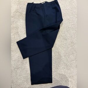 Eileen Fisher  Deep Blue Dress Pants